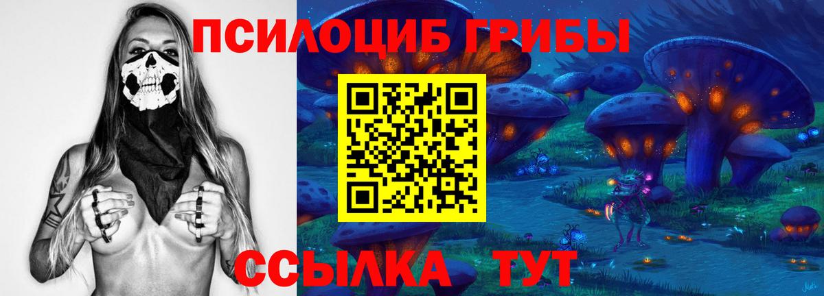 Лесозаводск  купить  сайты  Псилоцибиновые грибы ЛСД  Вход с VPN  Псилоцибиновые грибы GOLDEN TEACHER 